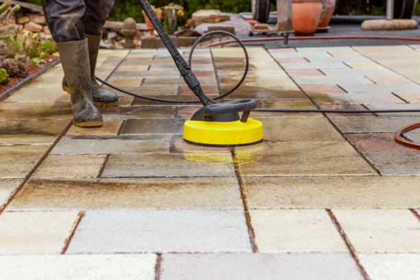Animal Enclosure Cleaning in Potosi, TX