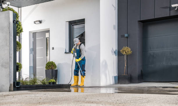 Best Driveway Pressure Washing  in Potosi, TX